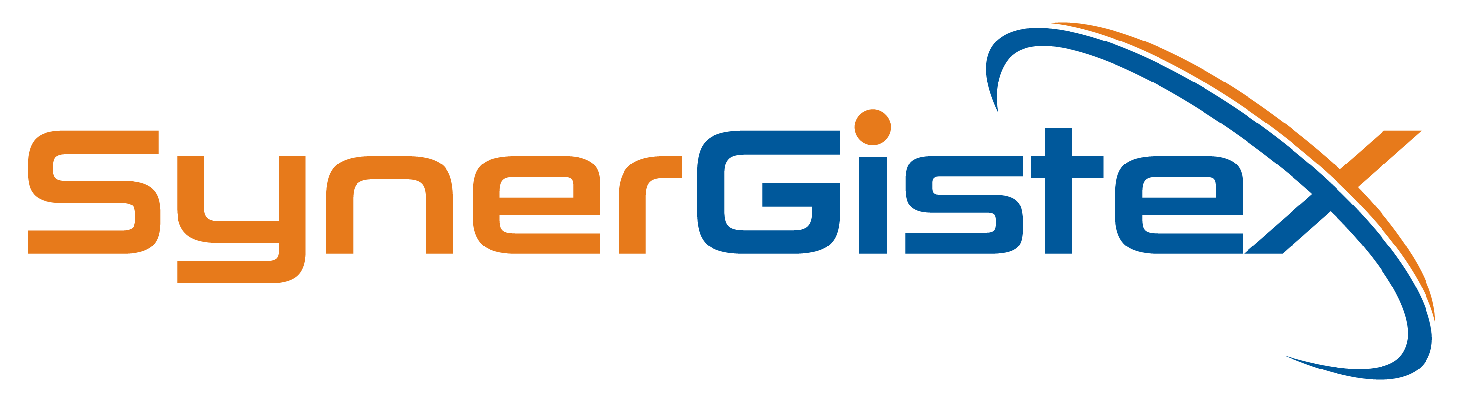 SynerGisteX-04 (1)